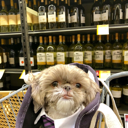 Wine Store «Total Wine & More», reviews and photos, 11221 Legacy Ave, Palm Beach Gardens, FL 33410, USA