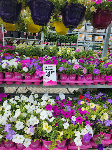 Home Improvement Store «The Home Depot», reviews and photos, 2461 N Richmond Rd, McHenry, IL 60051, USA