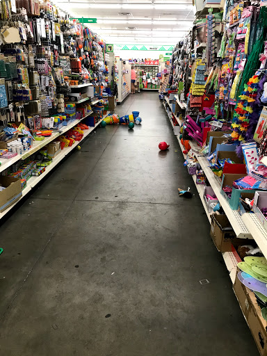 Dollar Store «Dollar Tree», reviews and photos, 843 Harley Strickland Blvd b, Orange City, FL 32763, USA