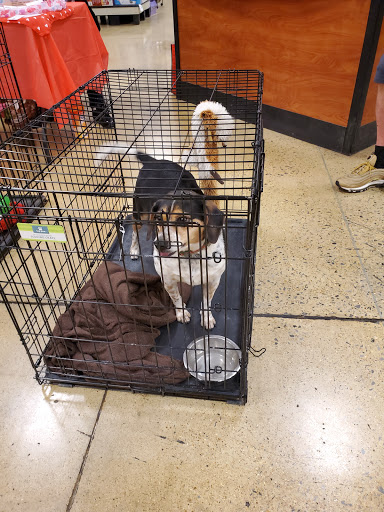 Pet Supply Store «PetSmart», reviews and photos, 2130 Gunbarrel Rd, Chattanooga, TN 37421, USA