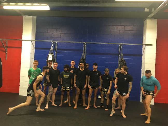 Reviews of Domin8 Academy in Birmingham - Personal Trainer