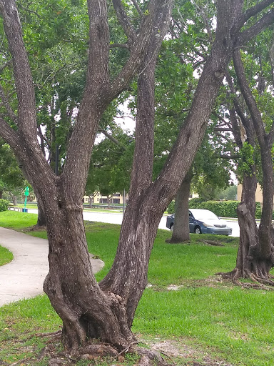 Park «Olympic Park», reviews and photos, 8601 SW 152nd Ave, Miami, FL 33193, USA