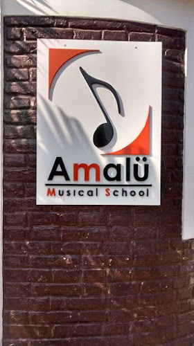 Opiniones de Amalü Musical School en Manta - Escuela