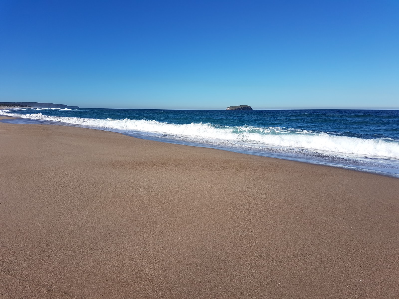 Budgewoi Beach的照片 带有碧绿色纯水表面