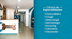 VetPro Clinica de Especialidades Veterinarias