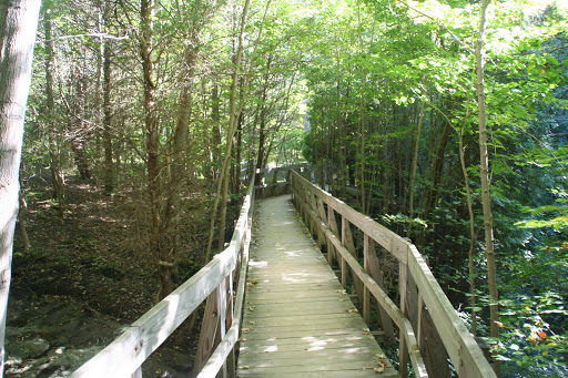 Nature Preserve «Caesar Creek Gorge State Nature Preserve», reviews and photos, 4080 Corwin Rd, Oregonia, OH 45054, USA