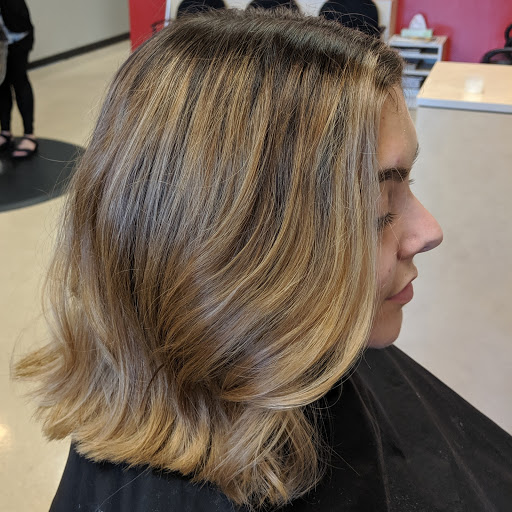 Hair Salon «BoRics Hair Care», reviews and photos, 9290 Lee Rd #109, Brighton, MI 48116, USA