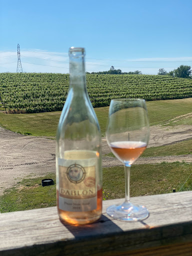 Winery «Dablon Vineyards & Winery», reviews and photos, 111 W Shawnee Rd, Baroda, MI 49101, USA
