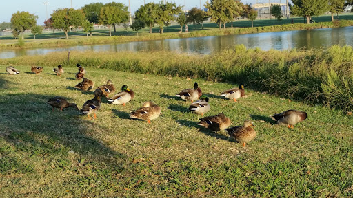 Park «Russell Creek Park», reviews and photos, 3500 McDermott Rd, Plano, TX 75025, USA