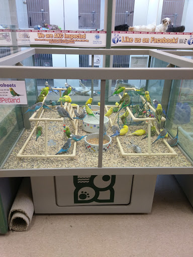 Shopping Mall «Miracle Mile Shopping Center», reviews and photos, 4100 William Penn Hwy, Monroeville, PA 15146, USA