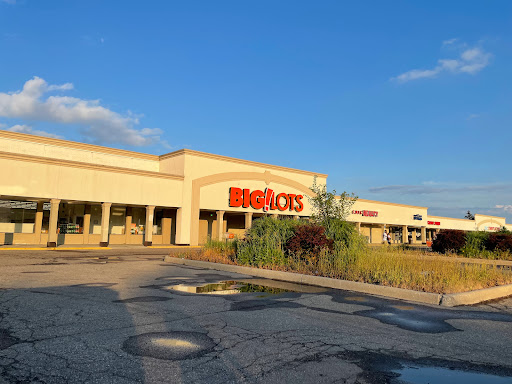 Big Lots, 26800 Dequindre Rd, Warren, MI 48091, USA, 