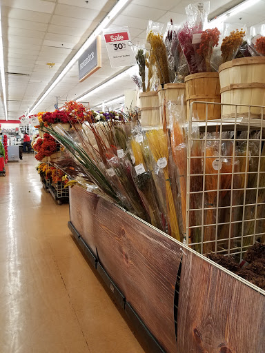 Craft Store «Michaels», reviews and photos, 4070 N Oracle Rd, Tucson, AZ 85705, USA