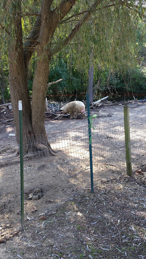 Gift Shop «River Birch Gifts», reviews and photos, 5944 General Puller Hwy, Locust Hill, VA 23092, USA