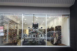 Black Cat Yarn - Appointment Only image