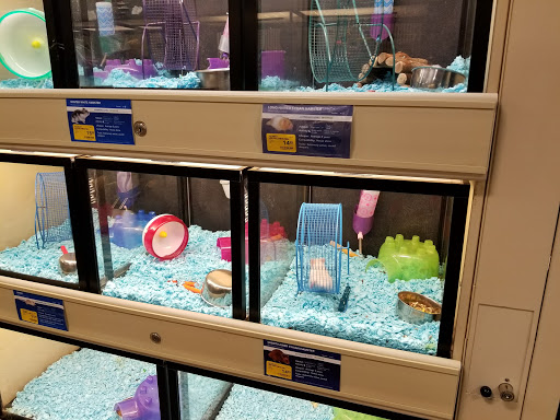 Pet Supply Store «PetSmart», reviews and photos, 4151 Turtle Creek Dr, Coral Springs, FL 33067, USA