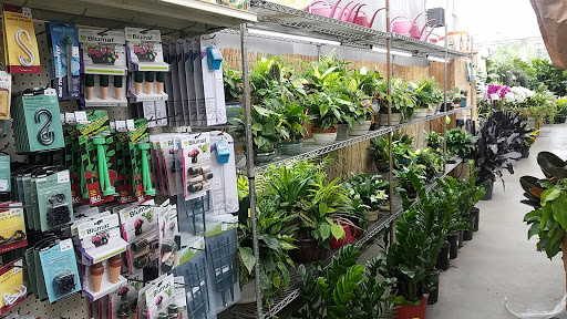 Garden Center «Dees Nursery & Florist», reviews and photos, 69 Atlantic Ave, Oceanside, NY 11572, USA