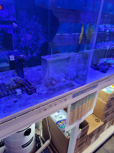 Tropical Fish Store «Fish Room», reviews and photos, 6119 Capital Blvd, Raleigh, NC 27616, USA