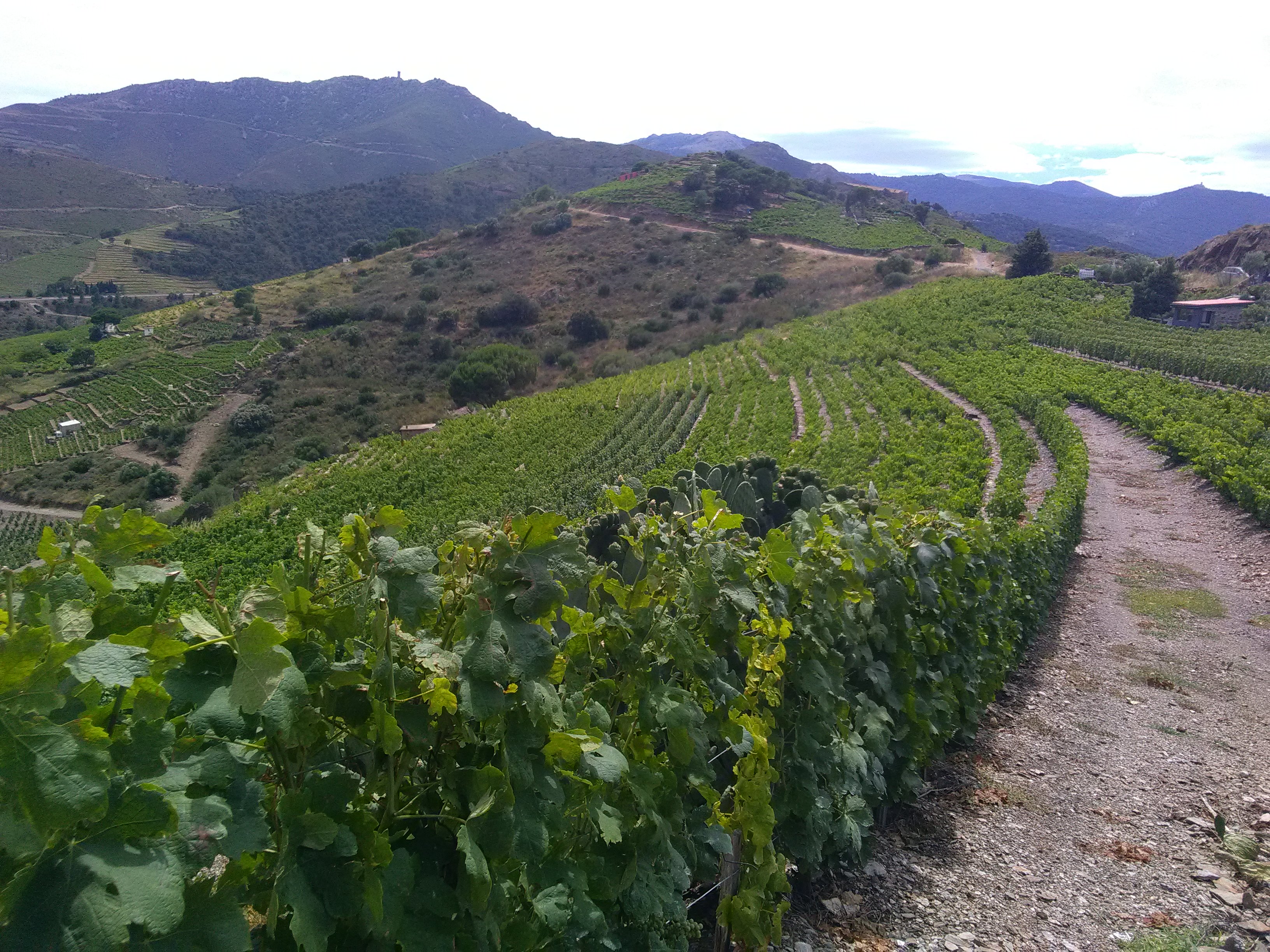 Photo n° 5 de l'avis de benoit.a fait le 16/07/2018 à 14:50