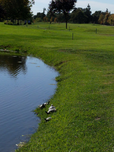 Golf Course «Antelope Greens Golf Course», reviews and photos, 2721 Elverta Rd, Antelope, CA 95843, USA