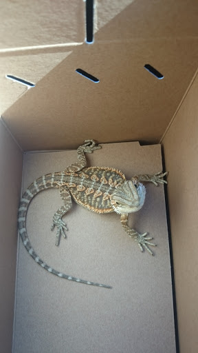 Pet Supply Store «Petco Animal Supplies», reviews and photos, 377 W Jackson St #11, Cookeville, TN 38501, USA