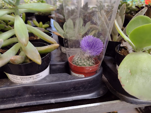 Home Improvement Store «The Home Depot», reviews and photos, 177 Willard St, Quincy, MA 02169, USA