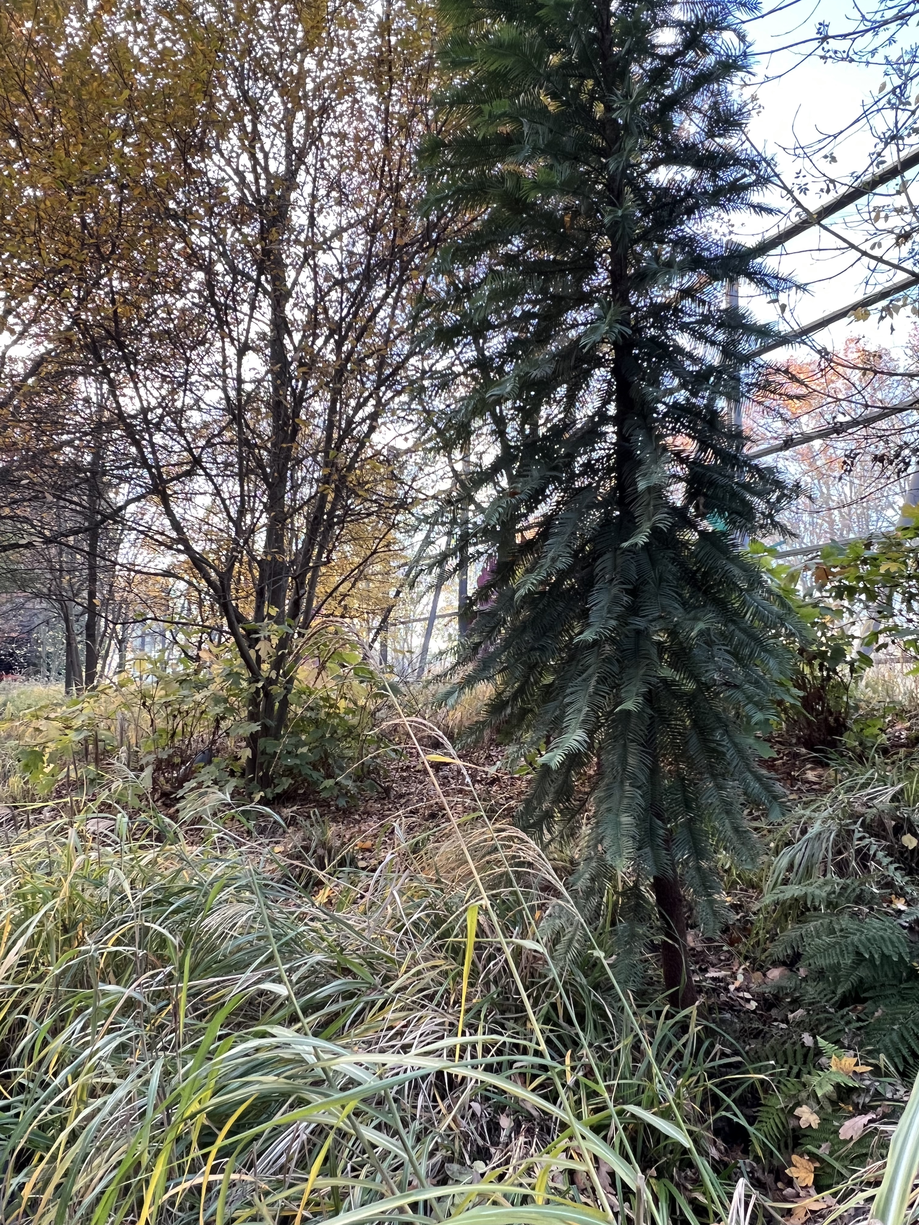 Photo n° 1 de l'avis de Grégory.a fait le 09/12/2022 à 15:44