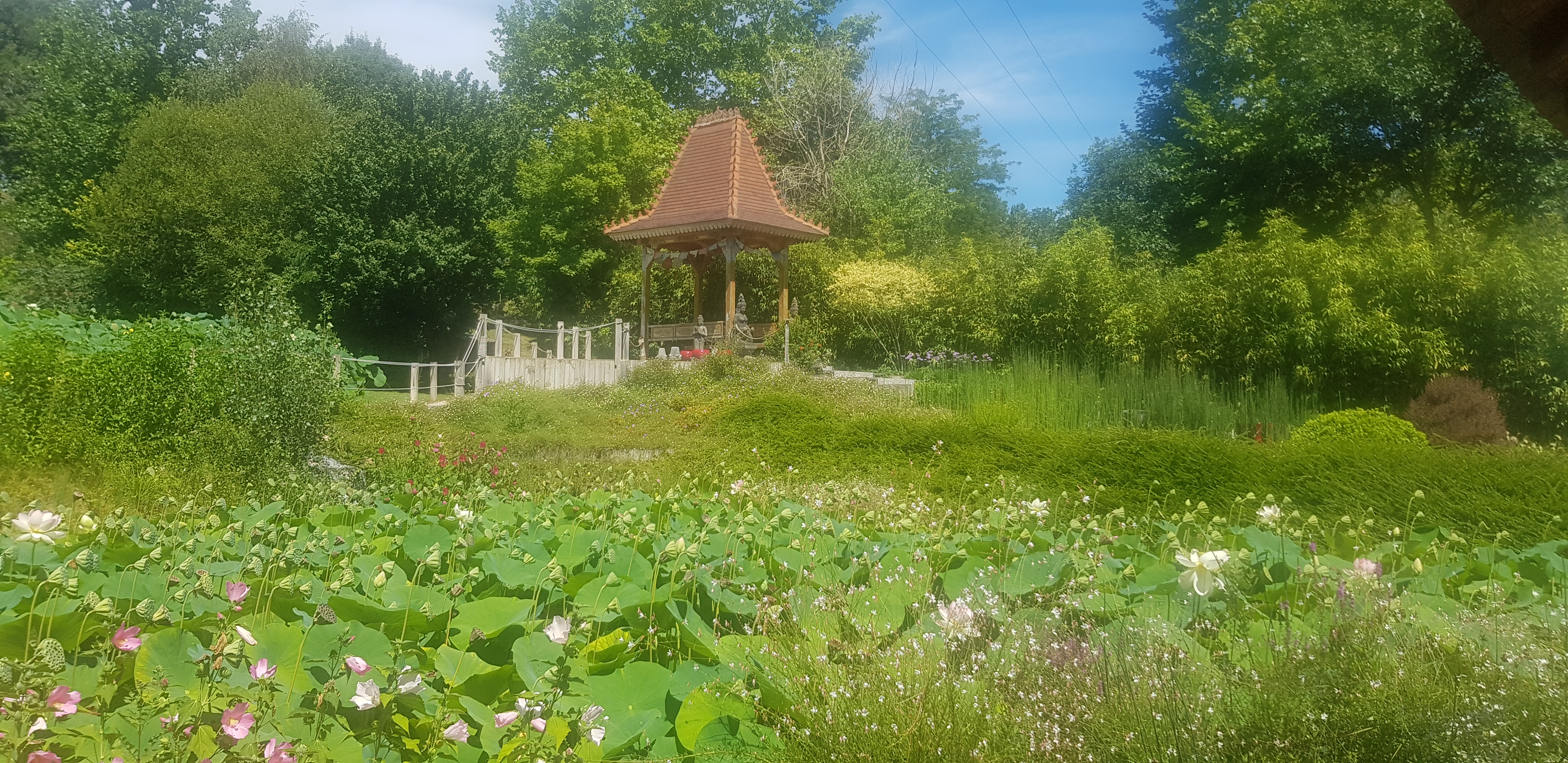 Photo n° 1 de l'avis de Thierry.l fait le 25/07/2020 à 15:44