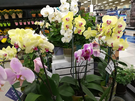 Grocery Store «Meijer», reviews and photos, 3911 US-22, Loveland, OH 45140, USA