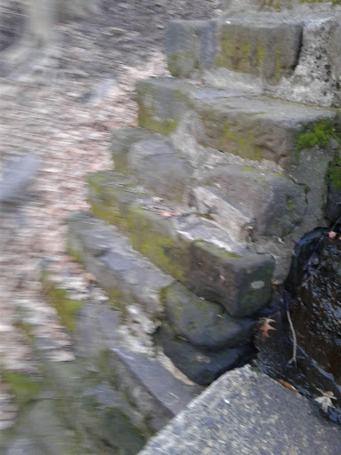 Park «Nichols Park», reviews and photos, 898 Bloomfield Ave, Nutley, NJ 07110, USA