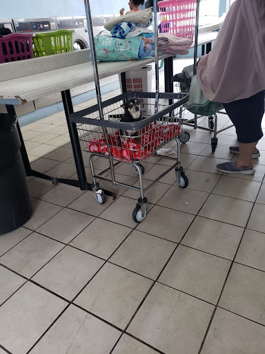 Laundromat «Hole Coin Laundry», reviews and photos, 10527 Hole Ave, Riverside, CA 92505, USA