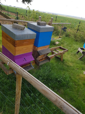 Rucher aux hirondelles à Tronville