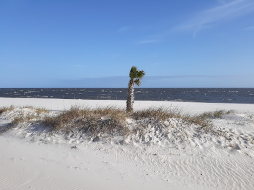 Souvenir Store «Sharkheads», reviews and photos, 1703 Beach Blvd, Biloxi, MS 39531, USA