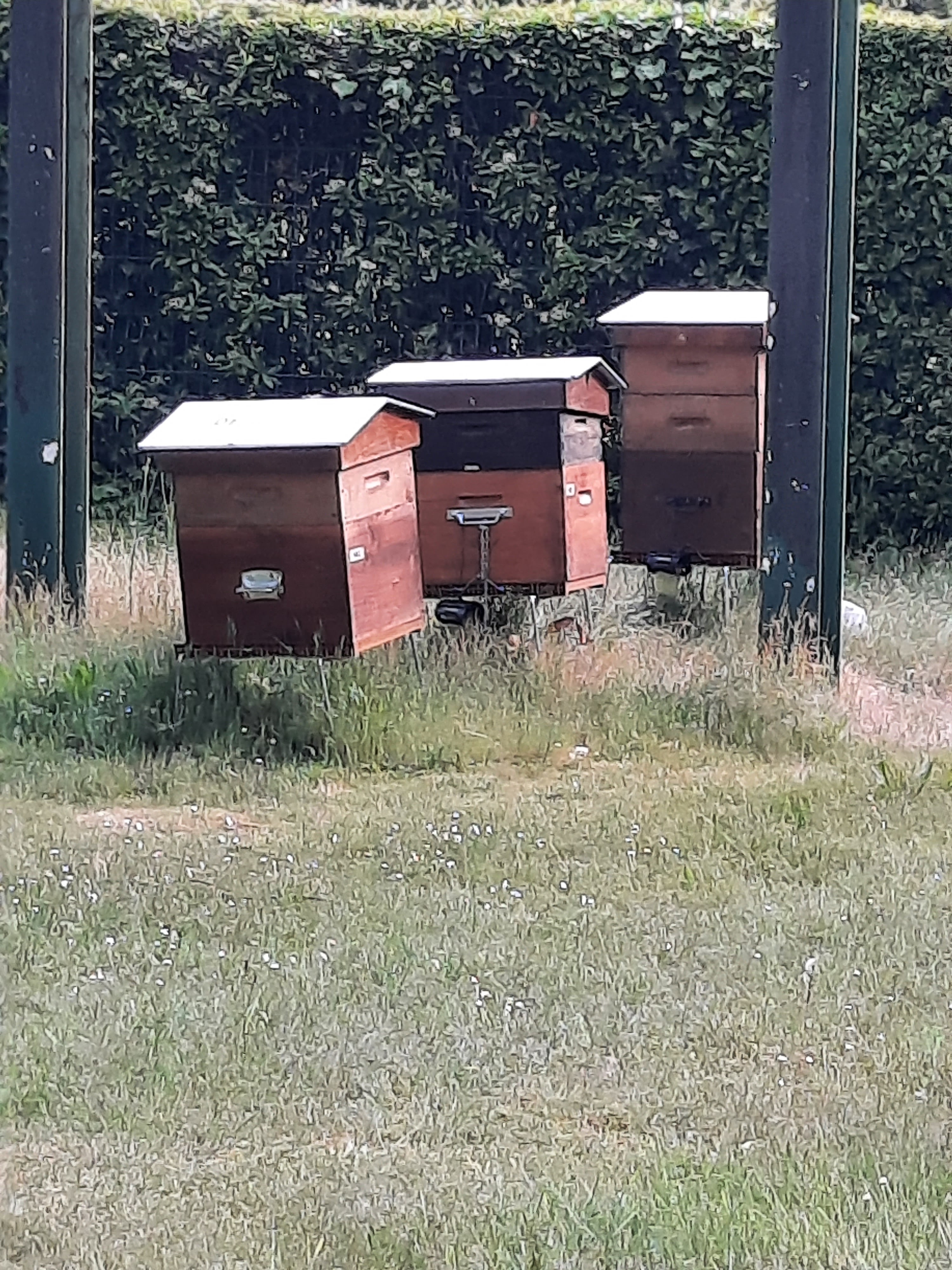 Photo n° 4 de l'avis de nadege.g fait le 08/06/2021 à 21:10