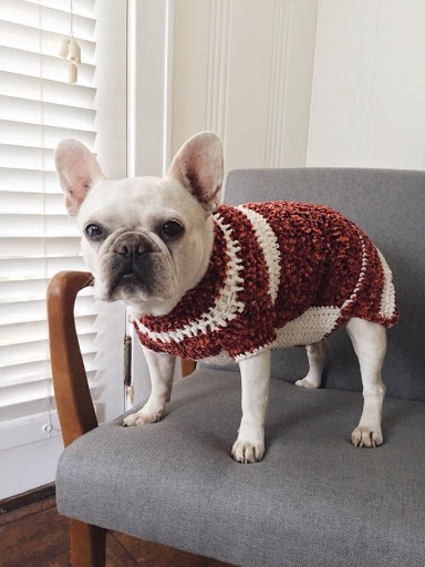 Pet Supply Store «Northern Star Mills», reviews and photos, 510 Esplanade, Chico, CA 95926, USA