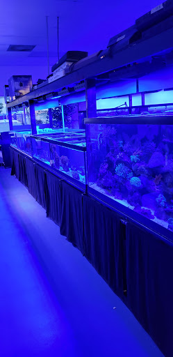 Tropical Fish Store «Living Reef Aquariums», reviews and photos, 4824 N Dixie Hwy, Oakland Park, FL 33334, USA