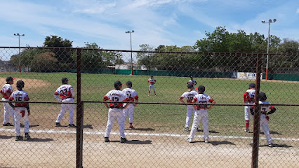 Liga Infantil Y Juvenil de Beisbol de Los Tres Rios.A.C.