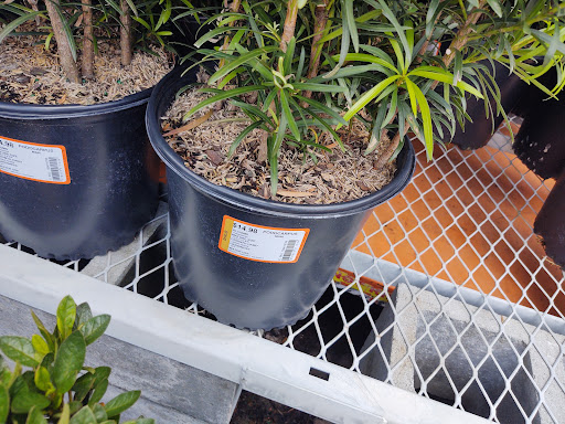 Shopping Mall «Westgate Shopping Center», reviews and photos, 1900 Veterans Blvd, Dublin, GA 31021, USA