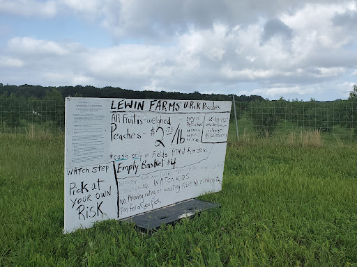 Farm «Lewin Farms», reviews and photos, 812 Sound Ave, Calverton, NY 11933, USA