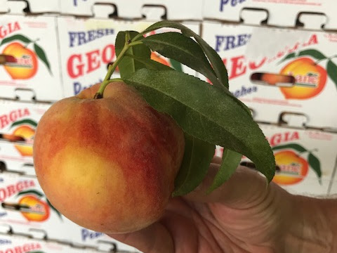 Garden Center «Holscher & Hackman Garden Center», reviews and photos, 6088 Harrison Ave, Cincinnati, OH 45247, USA