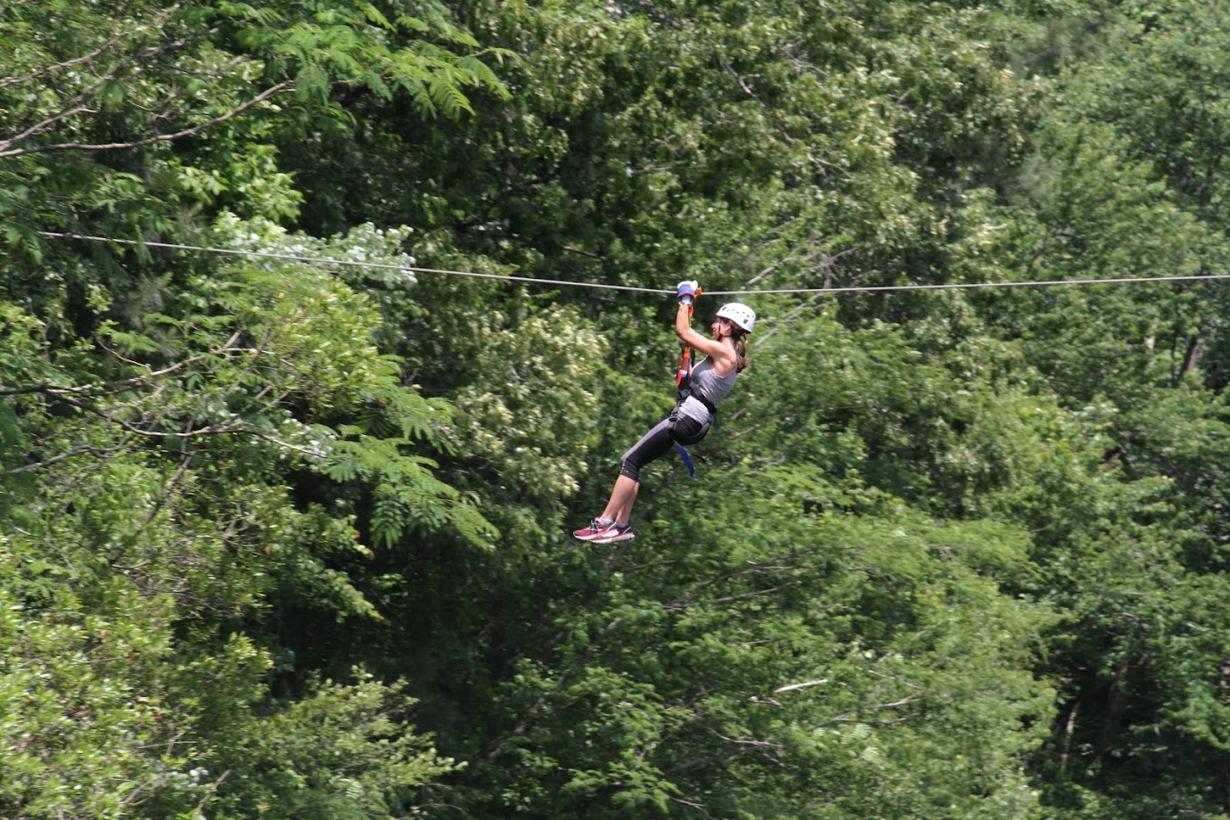 Screaming Eagle Aerial Adventures at Chattahoochee Nature Center
