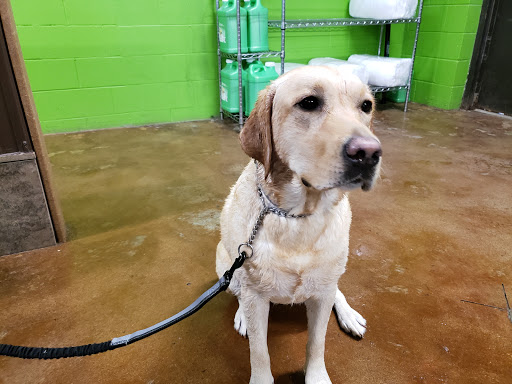 Pet Supply Store «Pet Food Plus», reviews and photos, 2819 E Hamilton Ave, Eau Claire, WI 54701, USA