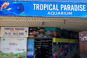 Tropical Paradise Aquarium image