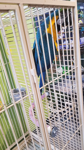 Pet Store «The Pet Works», reviews and photos, 407 4th Ave E, Olympia, WA 98501, USA