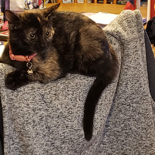 Pet Store «Animal House», reviews and photos, 7869 Hamilton Ave, Cincinnati, OH 45231, USA