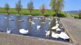 Waterworks Multi Sports Facility