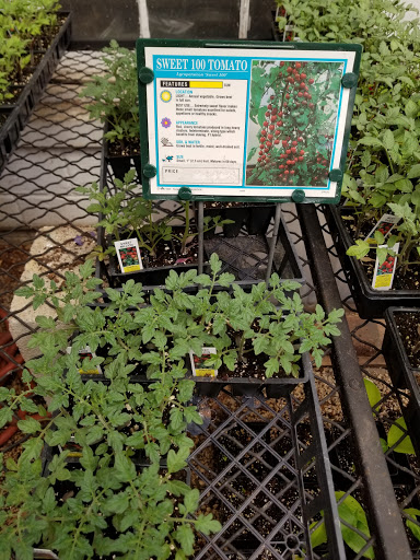 Florist «Lyndhurst Florist», reviews and photos, 5268 Mayfield Rd, Lyndhurst, OH 44124, USA