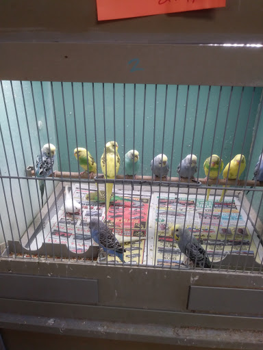 Pet Store «Wet Pets», reviews and photos, 1712 Montgomery Hwy, Dothan, AL 36303, USA