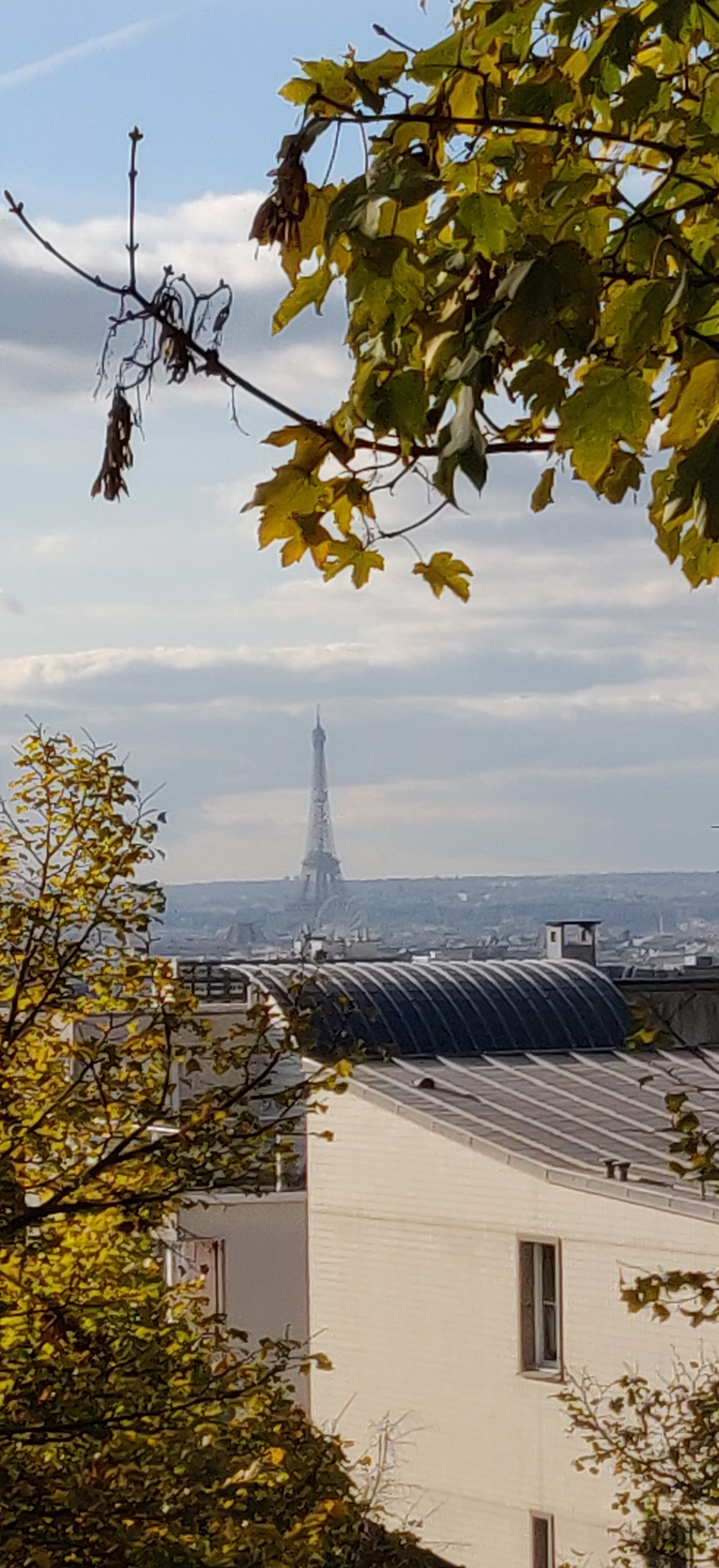 Photo n° 4 de l'avis de stf.e fait le 21/12/2019 à 11:37