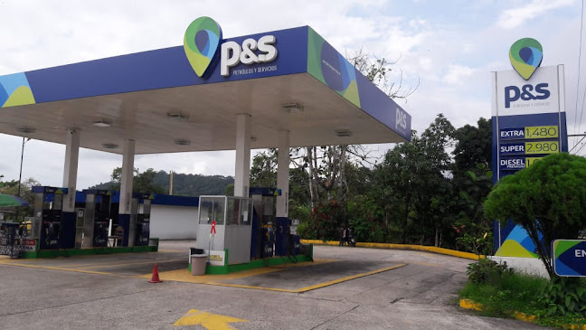 Opiniones de Gasolinera P y S en Archidona - Gasolinera