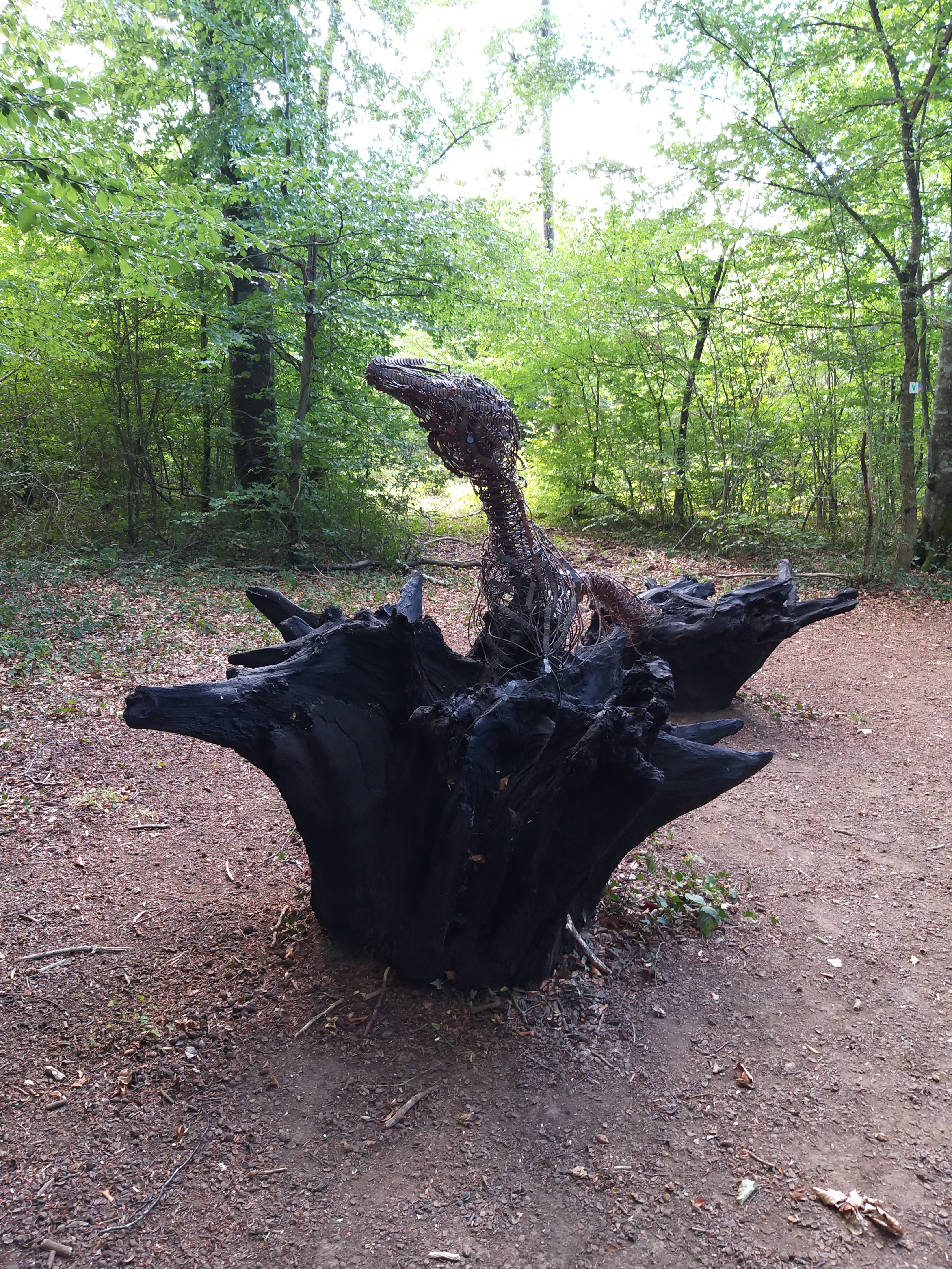 Photo n° 4 de l'avis de Patrice. fait le 30/08/2020 à 15:23